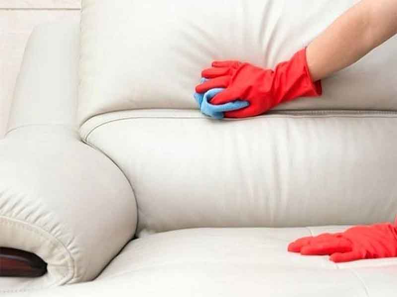Cách làm sạch ghế sofa da tại nhà
